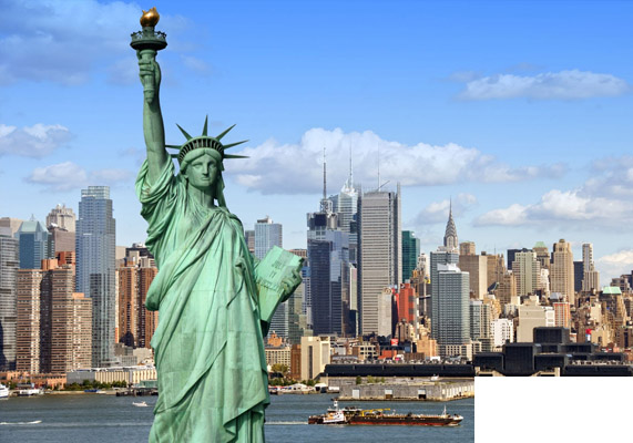 International Removals USA